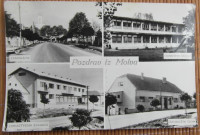 Razglednica Molvi iz 60-ih godina