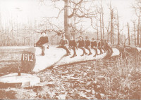RAZGLEDNICA  Stari slavonski hrastici