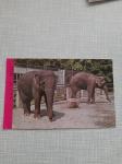 razglednica-ulaznica 1973 zoološki vrt u zagrebu  azijski slonovi