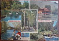 Razglednica vrela Bosne