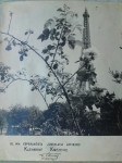 STARA FOTOGRAFIJA - EIFFELOV TORANJ - PARIZ - 24,0 x 30,0 cm