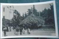 Stara razglednica Šibenik-Gradski perivoj