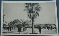 Stara razglednica Split-Palme na obali