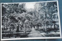 Stara razglednica Vinkovci-šetalište "Lenije"