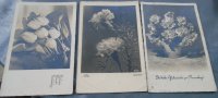 Stare cvjetne razglednice iz 50-ih godina