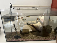 Akvarij s opremom i ribicama