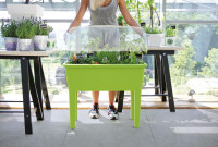 Posuda za sadnice sa poklopcem