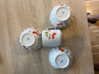 zajecar salica - zdjelica