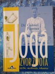 Gabriel Plattner – Joga : izvor života