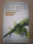 Rob Bell : What We Talk About When We Talk About God