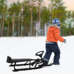 sanke sa volanom ili bob za djecu