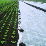 PLANT PROTEX - zaštita od mraza, smrzavanja i niskih temperatura