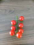 Mini rajčica ili trešnjica cherry divlja rajčica