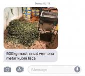 Stroj za čišćenje maslina – sada još povoljnije s popustom na gotovinu