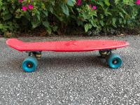 Skateboard - Penny Board