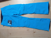 Salomon Icemania Ski pants