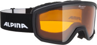 Skijaške naočale Alpina skoro nove