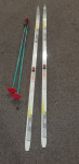 Elan tm 195cm + elan tm štapovi