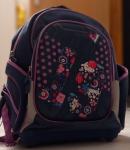 Školska torba ruksak Connect