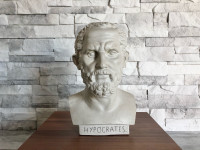 Hipokrat - bista