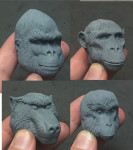 Gorilla, Chimpanzee, Baboon, Makaki