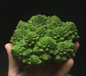 Romanesco cauliflower replica