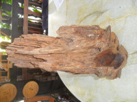 skulptura glave muškarca urezbarena u drvo tise-zamjene za starine