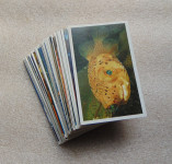 133 Slićice More i Oceani Sticker Mania