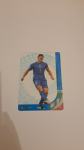 480. Kartica Euro 2008 PANINI - ULTRA CARD - Fabio Cannavaro - Italija