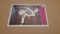 737. Kartica Svijet sporta -  Karate