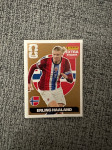Haaland panini extra sličica WC 2026