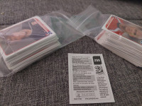 Panini afrika 2010 slicice