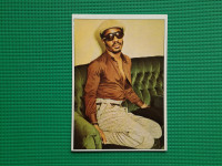 PANINI DŽUBOKS POP PARADA 1975 • Stevie Wonderr #08