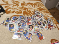 Panini Korea/Japan 2002