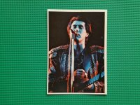 PANINI DŽUBOKS POP PARADA 1975 • Brian Ferry #48