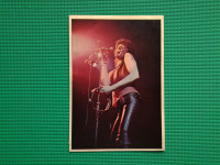 PANINI DŽUBOKS POP PARADA 1975 • Golden Earring #03