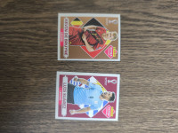 Qatar 2022 Panini Extra Stickers