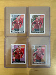 Ronaldo extra slicice PANINI