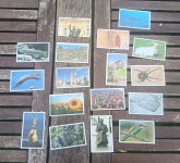 SLIČICE ŠPAR 2025 30 KOMADA ⚡⚡⚡