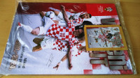 Vatreni put prazan zapakiran album, def.izdanje za fanove CRO nogometa