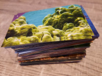 životinjsko carstvo 2016 - set 100 sličica (od 1 do 220)