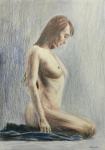 Akt - bojice na papiru - gola žena - žensko tijelo - umjetnički crtež