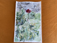 Cvijet - Akvarel