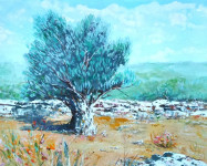 Din Mišljenović, Maslina, ulje na platnu