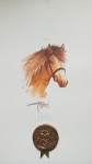 Domenico Gonzi > ciklus Konji > originalne slike