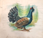 Dorotea Meštrović - akvarel iz 1993.godine