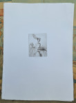 Dragica Cvek Jordan "Mladenka 1" bakropis, papir 35x25cm, otisak 9x6cm