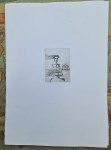 Dragica Cvek Jordan "Mladenka 2" bakropis, papir 35x25cm, otisak 9x6cm