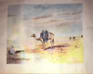 DRAGO MARIN ČERINA (CHERINA) - Velika grafika - 81x61cm