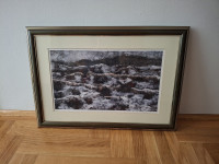 GRAFIKU TRAVAŠ SUNČICE PRODAJEM ZA 20 EUR NA 098 292 785